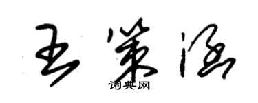 朱錫榮王策涵草書個性簽名怎么寫