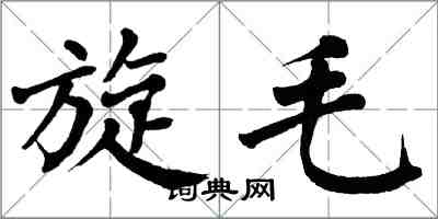 翁闓運旋毛楷書怎么寫