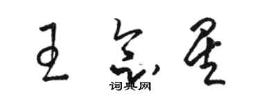 駱恆光王念星草書個性簽名怎么寫