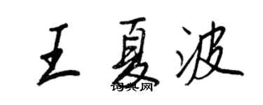 王正良王夏波行書個性簽名怎么寫