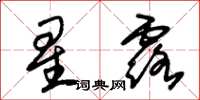朱錫榮星露草書怎么寫