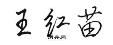 駱恆光王紅苗行書個性簽名怎么寫