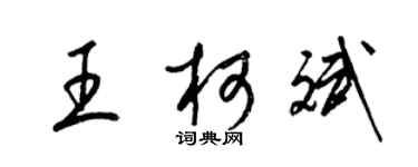 梁錦英王柯斌草書個性簽名怎么寫