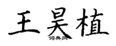 丁謙王昊植楷書個性簽名怎么寫