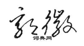 駱恆光郭徽草書個性簽名怎么寫