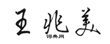 駱恆光王兆美行書個性簽名怎么寫