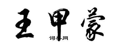 胡問遂王甲蒙行書個性簽名怎么寫