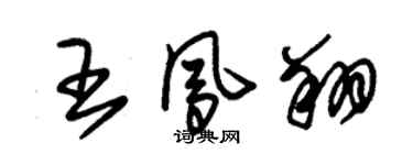 朱錫榮王鳳翔草書個性簽名怎么寫