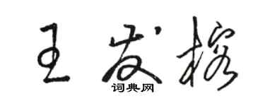 駱恆光王發榕草書個性簽名怎么寫