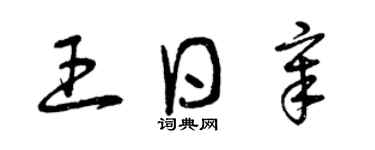 曾慶福王日章草書個性簽名怎么寫