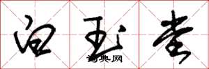 朱錫榮白玉堂草書怎么寫