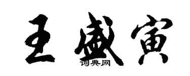 胡問遂王盛寅行書個性簽名怎么寫