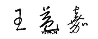 駱恆光王益嘉草書個性簽名怎么寫