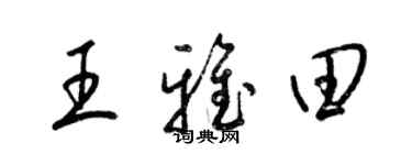 梁錦英王雅田草書個性簽名怎么寫