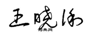 曾慶福王曉俐草書個性簽名怎么寫