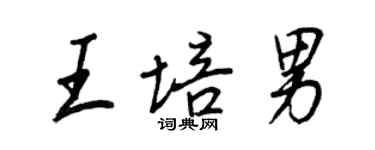 王正良王培男行書個性簽名怎么寫