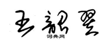 朱錫榮王韶翌草書個性簽名怎么寫