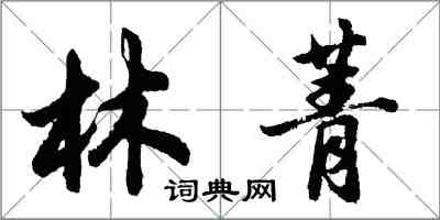 胡問遂林菁行書怎么寫