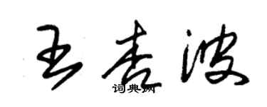 朱錫榮王杏波草書個性簽名怎么寫