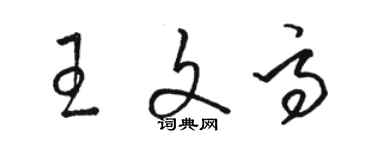 駱恆光王文高草書個性簽名怎么寫