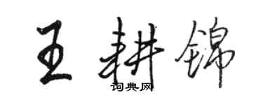 駱恆光王耕錦行書個性簽名怎么寫