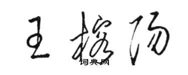 駱恆光王榕陽草書個性簽名怎么寫