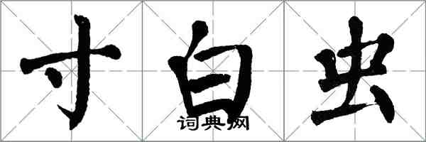 翁闓運寸白蟲楷書怎么寫