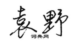 駱恆光袁野行書個性簽名怎么寫