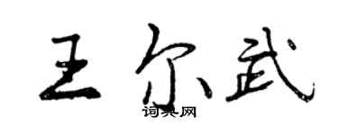 曾慶福王爾武行書個性簽名怎么寫