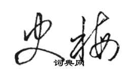 駱恆光史梅草書個性簽名怎么寫