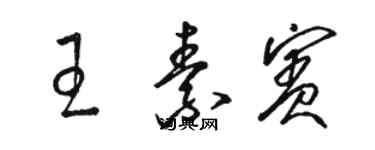 駱恆光王素賓草書個性簽名怎么寫