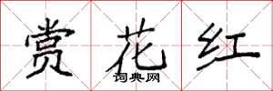 袁強賞花紅楷書怎么寫