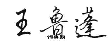 駱恆光王魯蓬行書個性簽名怎么寫