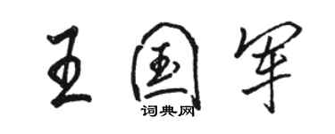 駱恆光王國軍行書個性簽名怎么寫