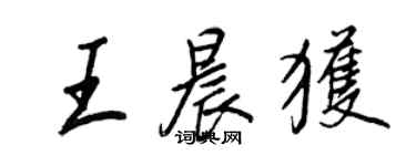 王正良王晨獲行書個性簽名怎么寫