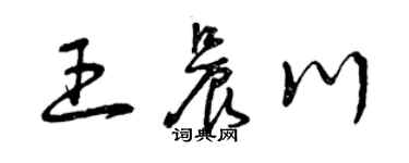 曾慶福王晨川草書個性簽名怎么寫