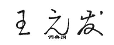 駱恆光王元發草書個性簽名怎么寫
