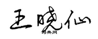 曾慶福王曉仙草書個性簽名怎么寫