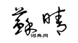 曾慶福蘇晴草書個性簽名怎么寫