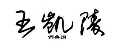 朱錫榮王凱陵草書個性簽名怎么寫