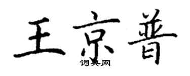 丁謙王京普楷書個性簽名怎么寫