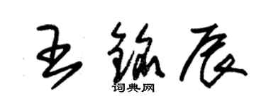 朱錫榮王銘辰草書個性簽名怎么寫