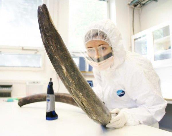 科學探索_科學探秘_探索發現