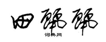 朱錫榮田麗麗草書個性簽名怎么寫