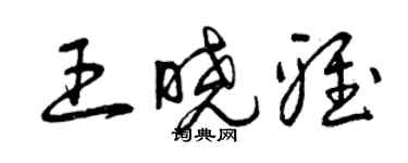 曾慶福王曉雅草書個性簽名怎么寫