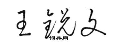 駱恆光王銳文草書個性簽名怎么寫