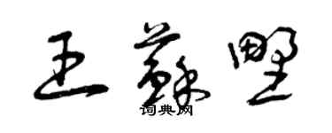 曾慶福王蘇野草書個性簽名怎么寫