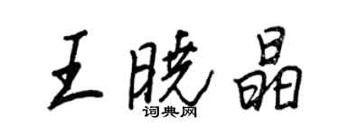 王正良王曉晶行書個性簽名怎么寫