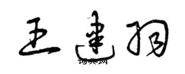 曾慶福王建羽草書個性簽名怎么寫
