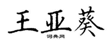 丁謙王亞葵楷書個性簽名怎么寫